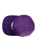 Purple Saint Vanity Snapbac